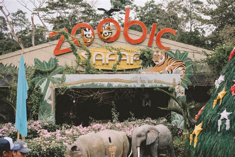 How to go to Subic Olongapo, Zoobic Safari, and .